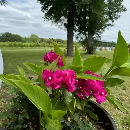 Natural Castle Lodge Quinsac (Gironde)
