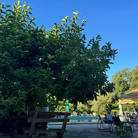 Natural Castle 山林小屋 Quinsac (Gironde)