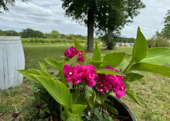 Natural Castle Lodge Quinsac (Gironde)